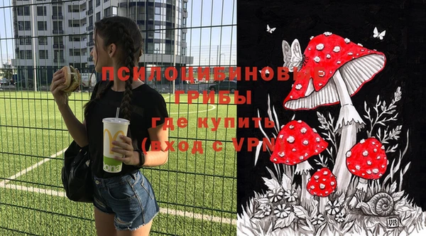 прущие крисы Армянск