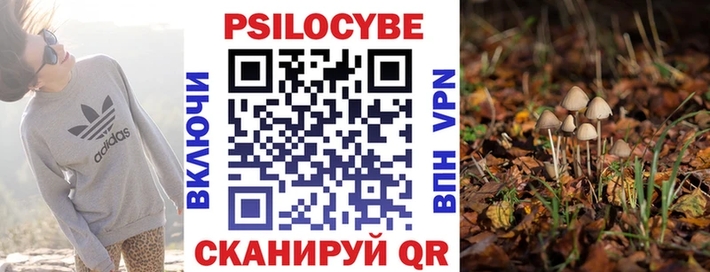 Псилоцибиновые грибы мухоморы Кологрив