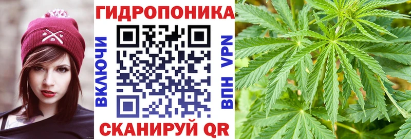 Канабис гибрид маркетплейс формула Кологрив как найти закладки